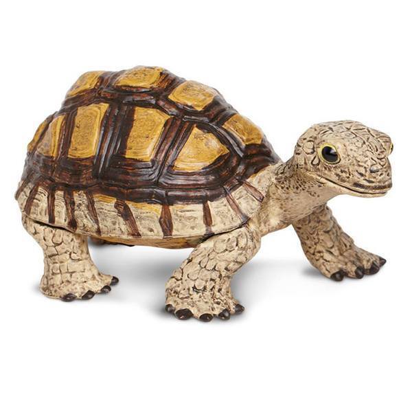 Tortoise Incredible Creatures Figure Safari Ltd New Toys Educational Kids Animal