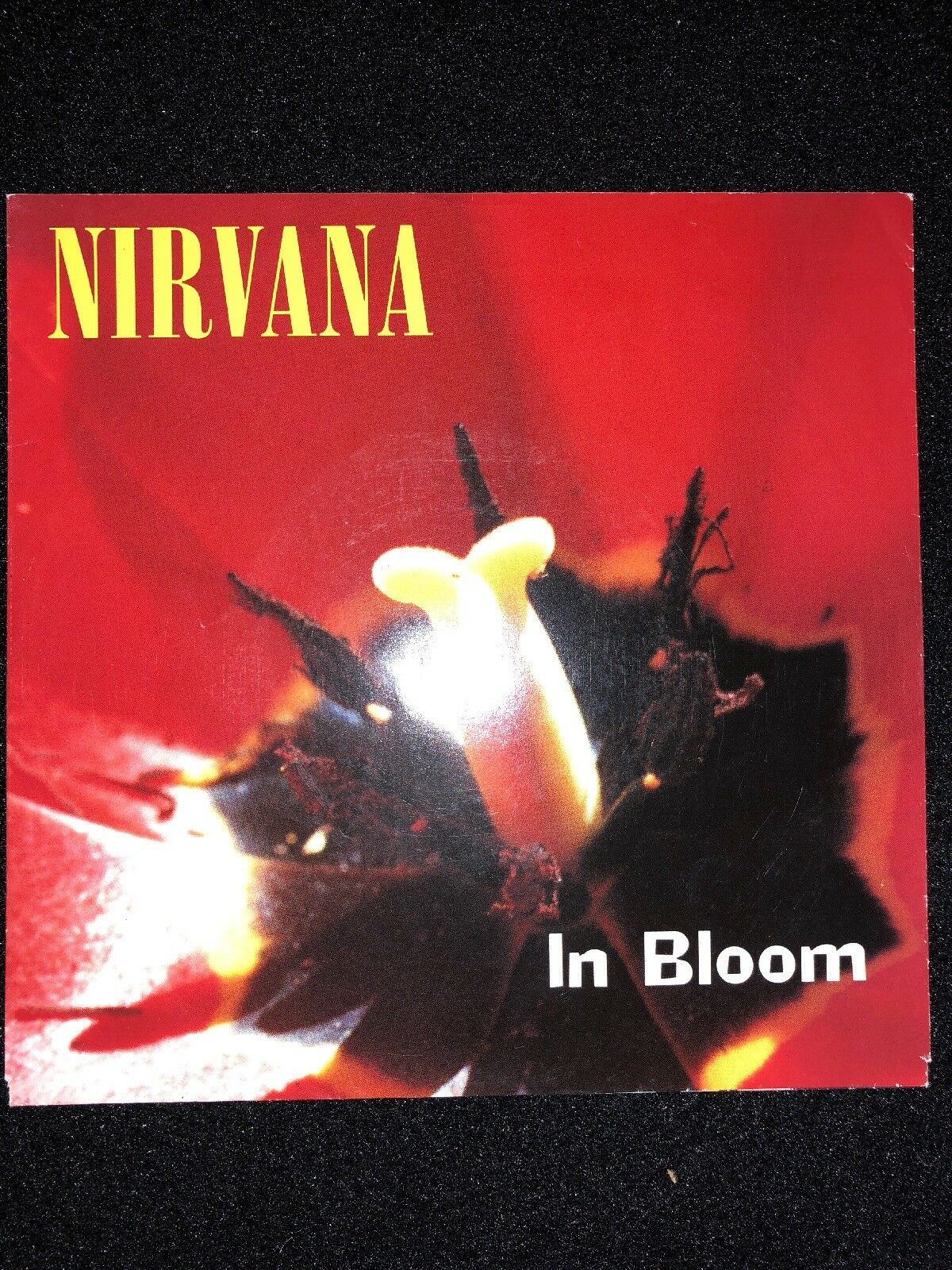 Holy Grail Dutch Nirvana 7” Record Single In Bloom Kurt Cobain Soundgarden Aic