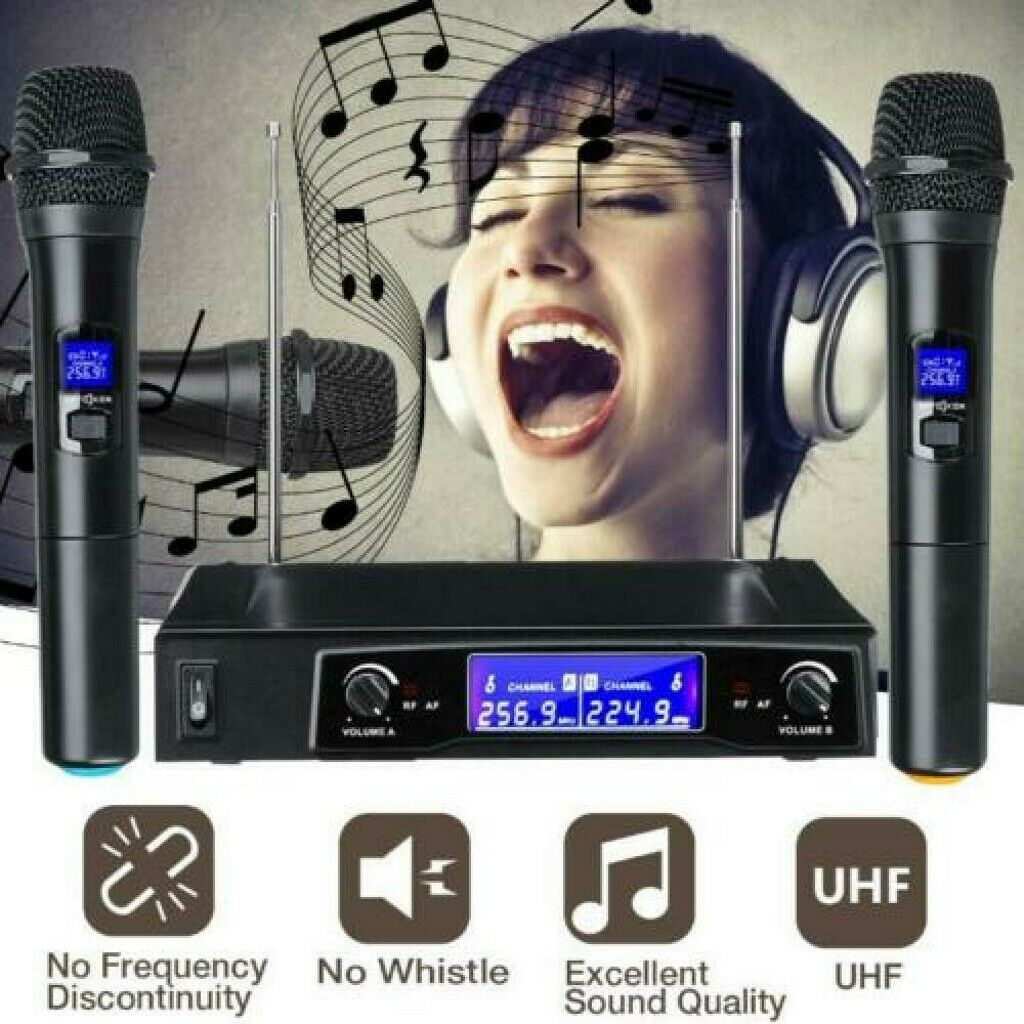 Professional Wireless Microphone System Dual Handheld 2 X Mic Cordless Receiver