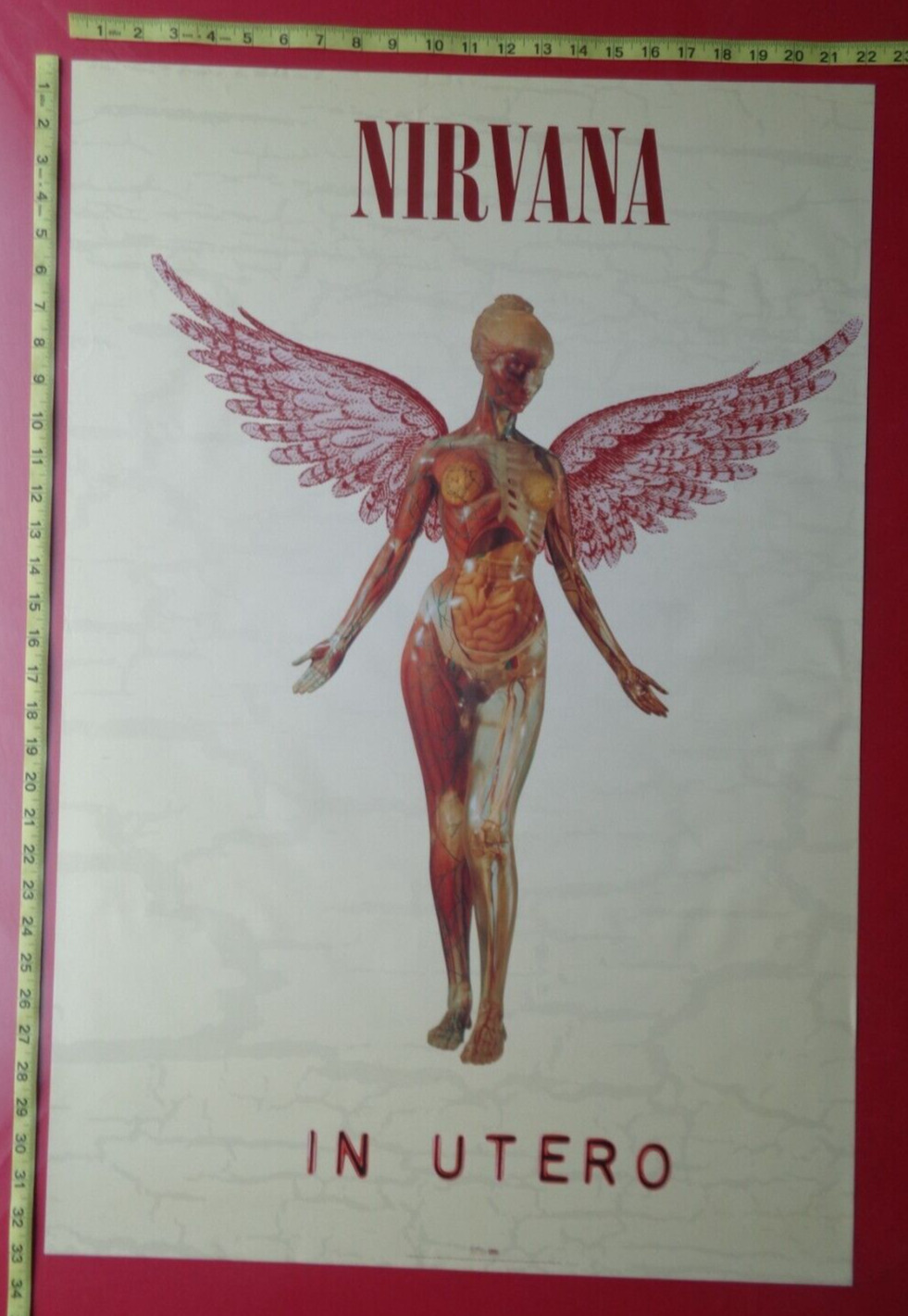 Nirvana,david Geffen Records Promo Poster,22"x33",in Utero