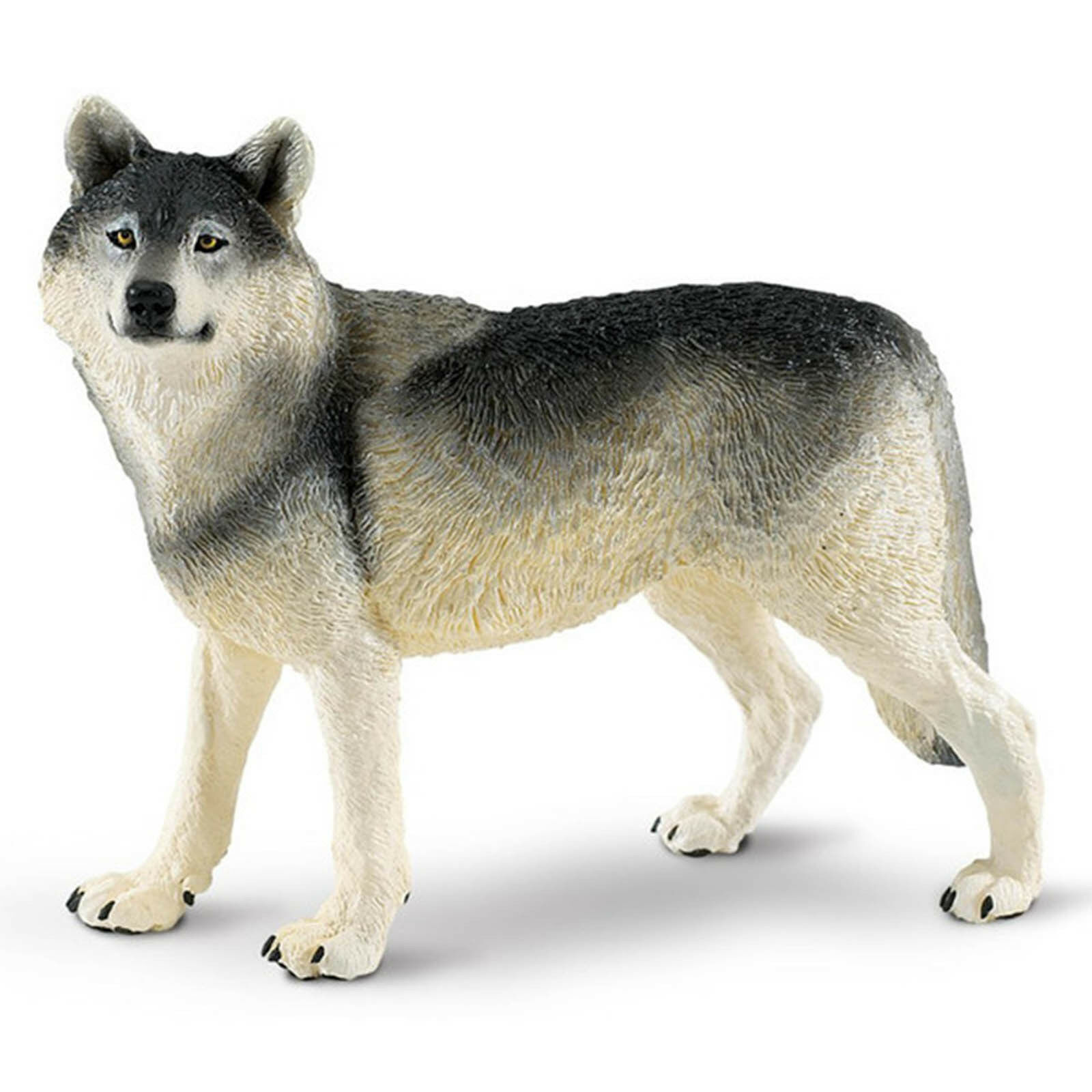 Gray Wolf Wildlife Wonders Figure Safari Ltd New Toys Educational Figurines