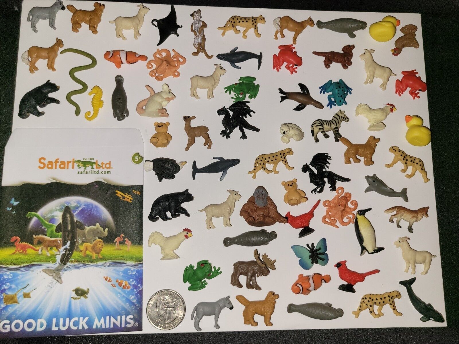 🦓safari Ltd Good Luck Minis Lot Of 62 Super Cute Detailed Little Mini Animals.